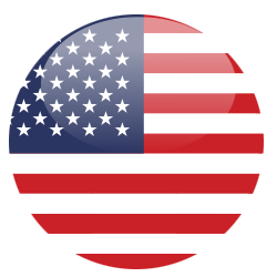bandiera americana lingua inglese